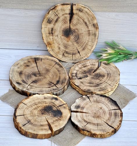 Juego De Cinco 20 25cm Rodajas De Roble Quemadas Centro De Mesa Rustico Para Boda Base Para Tartas Rustica Rebanadas De Madera Rodaja Madera Decoracion Rustico Amazon Es Handmade