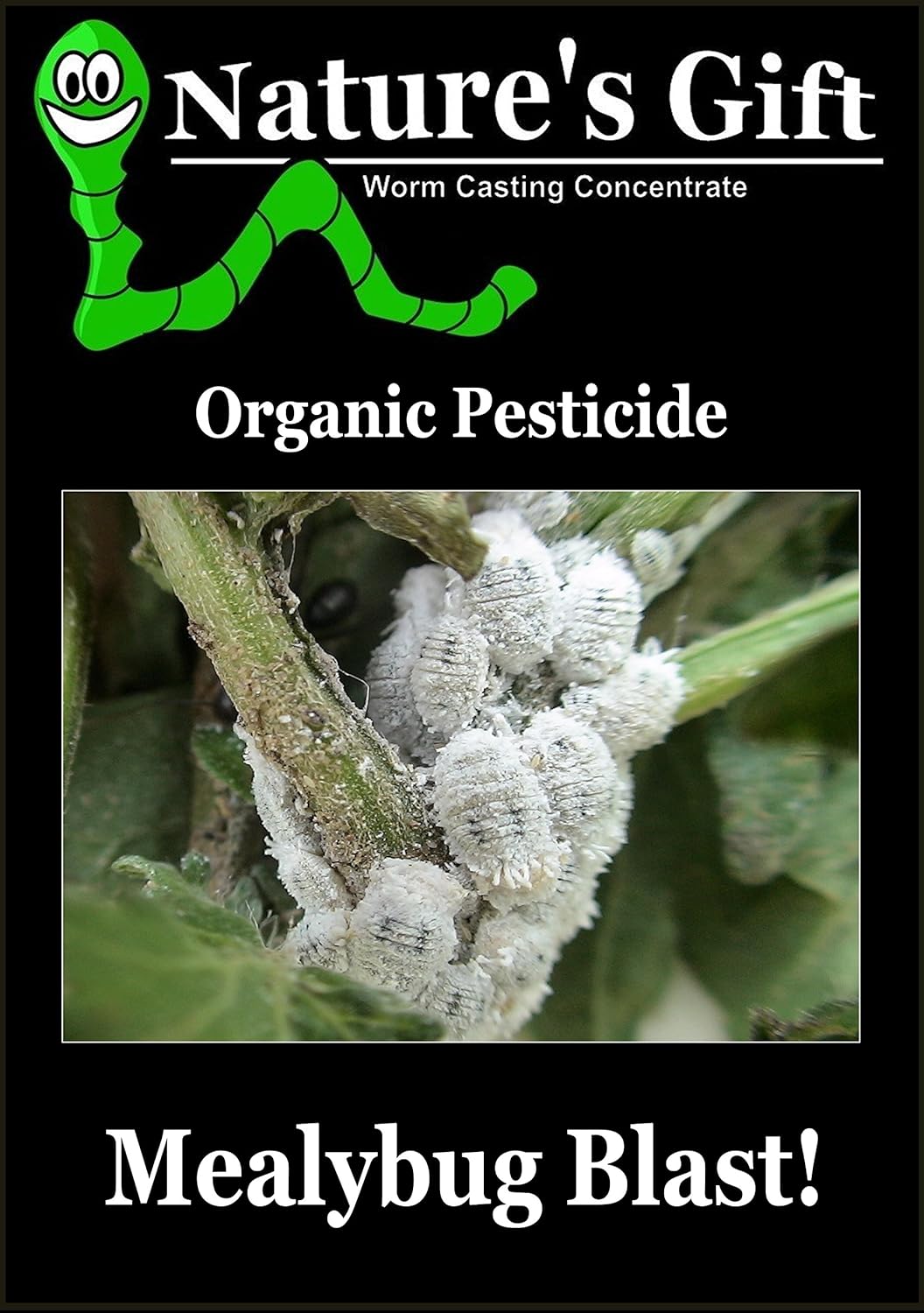 ECoco Products UK ORGANIC MEALYBUG KILLER, PESTICIDE SPRAY KILLS MEALYBUGS (250 ML) Amazon