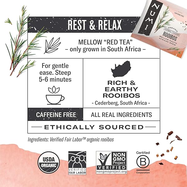 NUMI – ORGANIC ROOIBOS TEA VARIETY PACK, 54 HERBAL TEA BAGS, CHOCOLATE, CHAI AND REGULAR ROOIBOS