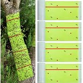Qualirey 4 Rolls Spotted Lantern Fly Tree Tape Trap 30ft,Green | Sticky Paper for Orchard Protection, Outdoor Pest Control Tape, Disposable Strips for Gardens and Fruit Trees
