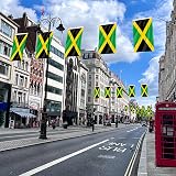 AhfuLife Jamaica Flag 5ft x 3ft Double-Sided with Brass Eyelets view 4