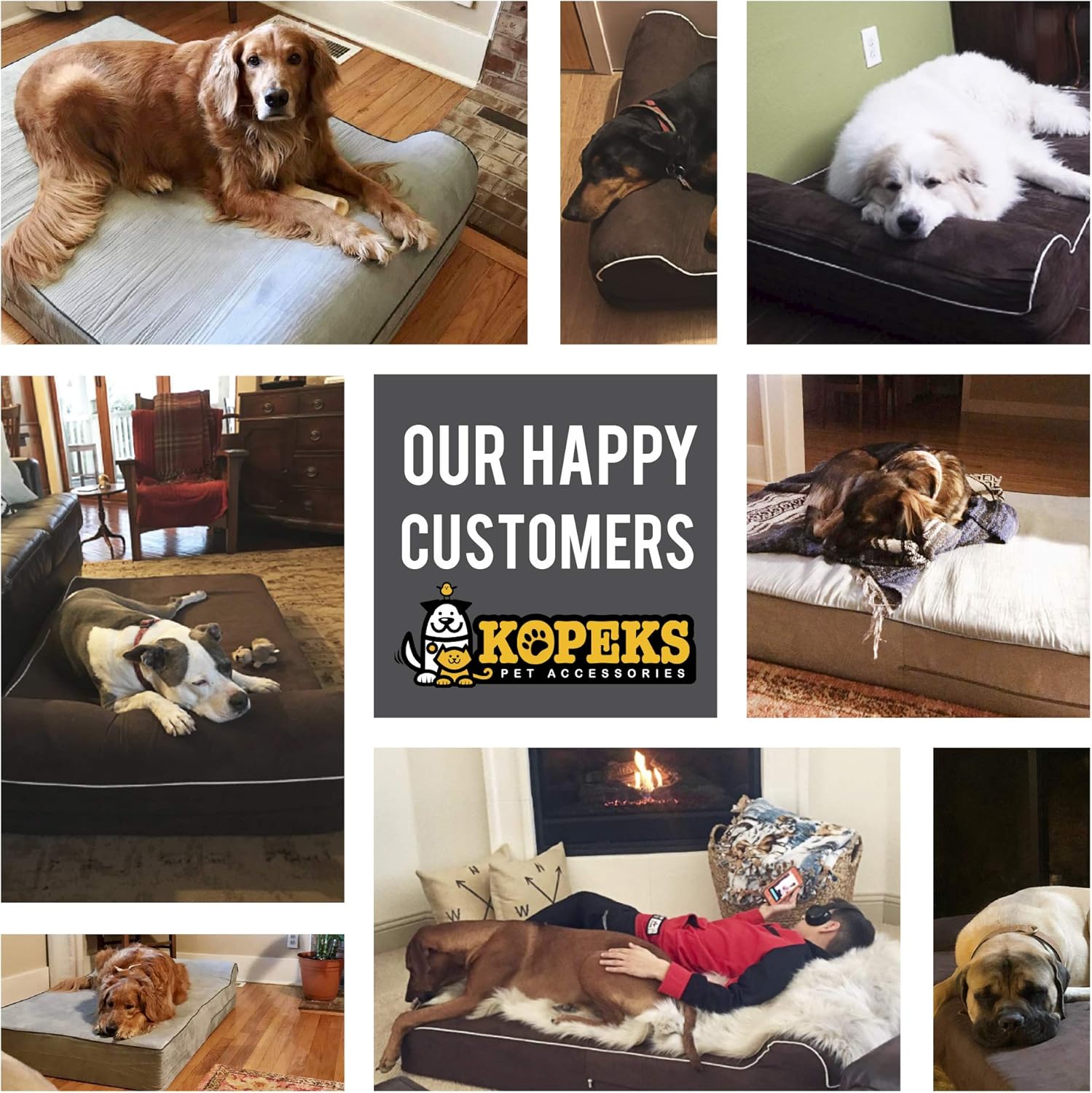 7-inch Thick High Grade Orthopedic Memory Foam Dog Bed With Pillow and Easy to Wash Removable Cover with Anti-Slip Bottom : Pet Supplies
