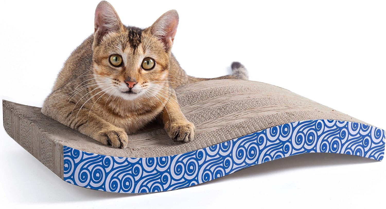 pedigree puppy food rating