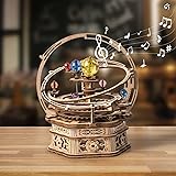 ROKR 3D Wooden Puzzles for Adults Mechanical Music