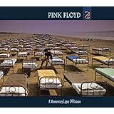 A Momentary Lapse Of Reason