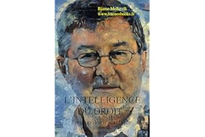 L’intelligence du droit : épistémologie juridique (French Edition)