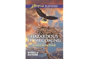 Hazardous Homecoming (Wings of Danger Book 1)