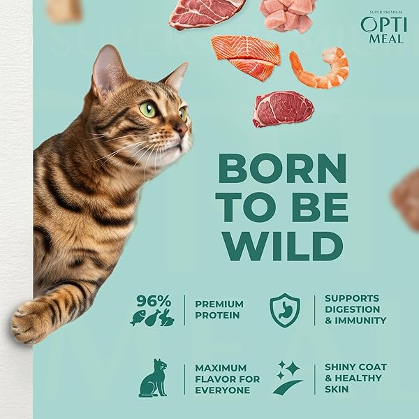 OPTIMEAL GRAIN-FREE WET CAT FOOD POUCHES – BEEF & RABBIT IN SAVORY GRAVY, HIGH PROTEIN & MOISTURE-RICH TENDER MORSELS, INDOOR ADULT CAT FOOD WET WITH NATURAL EUROPEAN INGREDIENTS, 3 OZ (PACK OF 12)