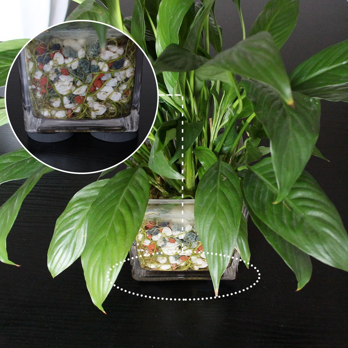 Ndier 24Pcs Blumentopf-Füße Unsichtbare Blumentopf-Riser - Heavy Duty Anti-Rutsch-Riser für Pflanzentöpfe Schwarz (12 + 4 + 8 verschiedene Stil)