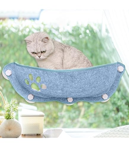 Cat Bed Hammock Walmart Foldable Pet Bed EMVANV Cat Window Hammock
