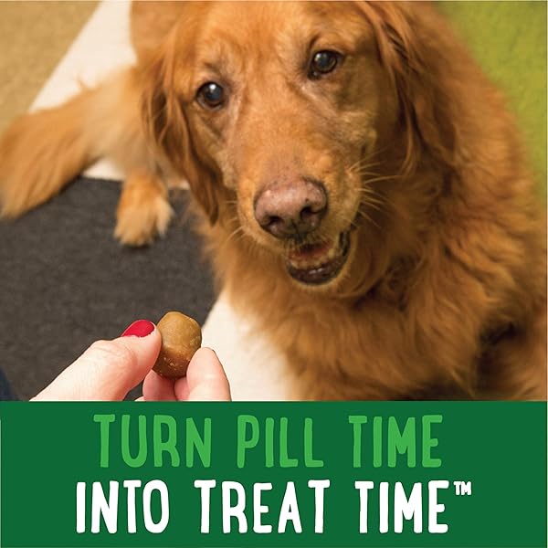 GREENIES PILL POCKETS FOR DOGS SMALL SIZE, TABLET PILL TREATS FOR DOGS, HICKORY SMOKE FLAVOR, 3.2 OZ. POUCH