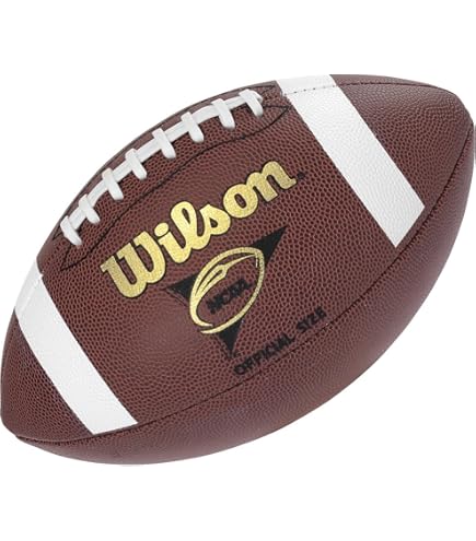 Supreme × Wilson フットボール 2010AW 41b+p7fFGeL.jpg_BO30,255,255,