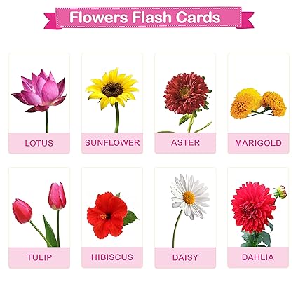 KIDSVILLE ABC Alphabets , Hindi a aa e , Zoo Animals , Flowers Waterproof Flash Cards (3.5 inch x 5.5 inch, Multicolored) (Flowers)
