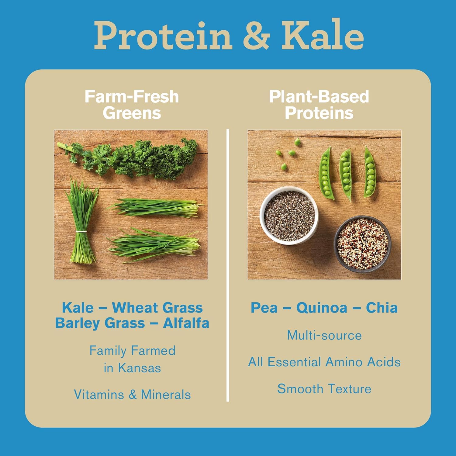 Amazing Grass Vegan Protein & Kale Powder: 20g of Organic Protein + 1 Cup Leafy Greens per Serving, Vanilla, 15 Servings : Grocery & Gourmet Food