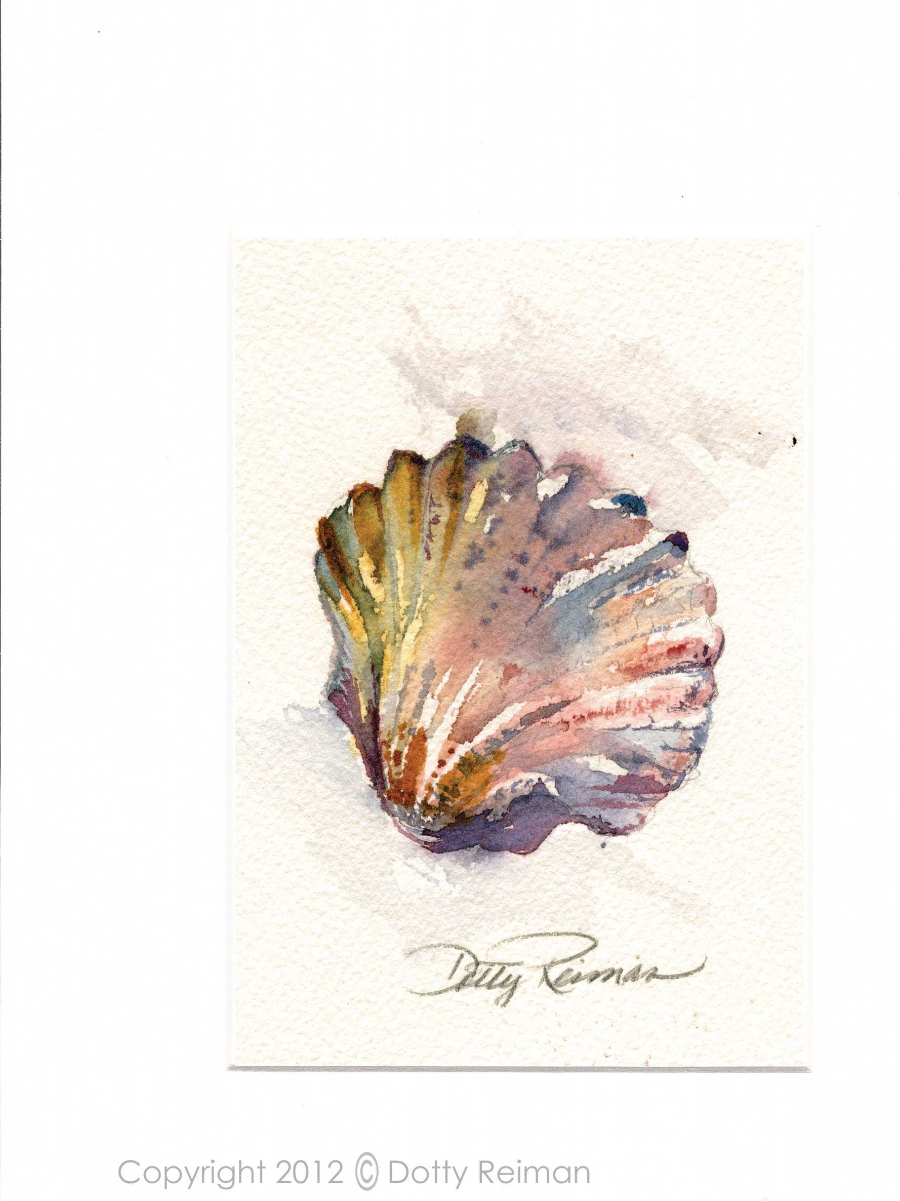 Seashell Art 5 x 7 inch Print by Dotty Reiman - Fits into an 8 x 10 inch Frame
