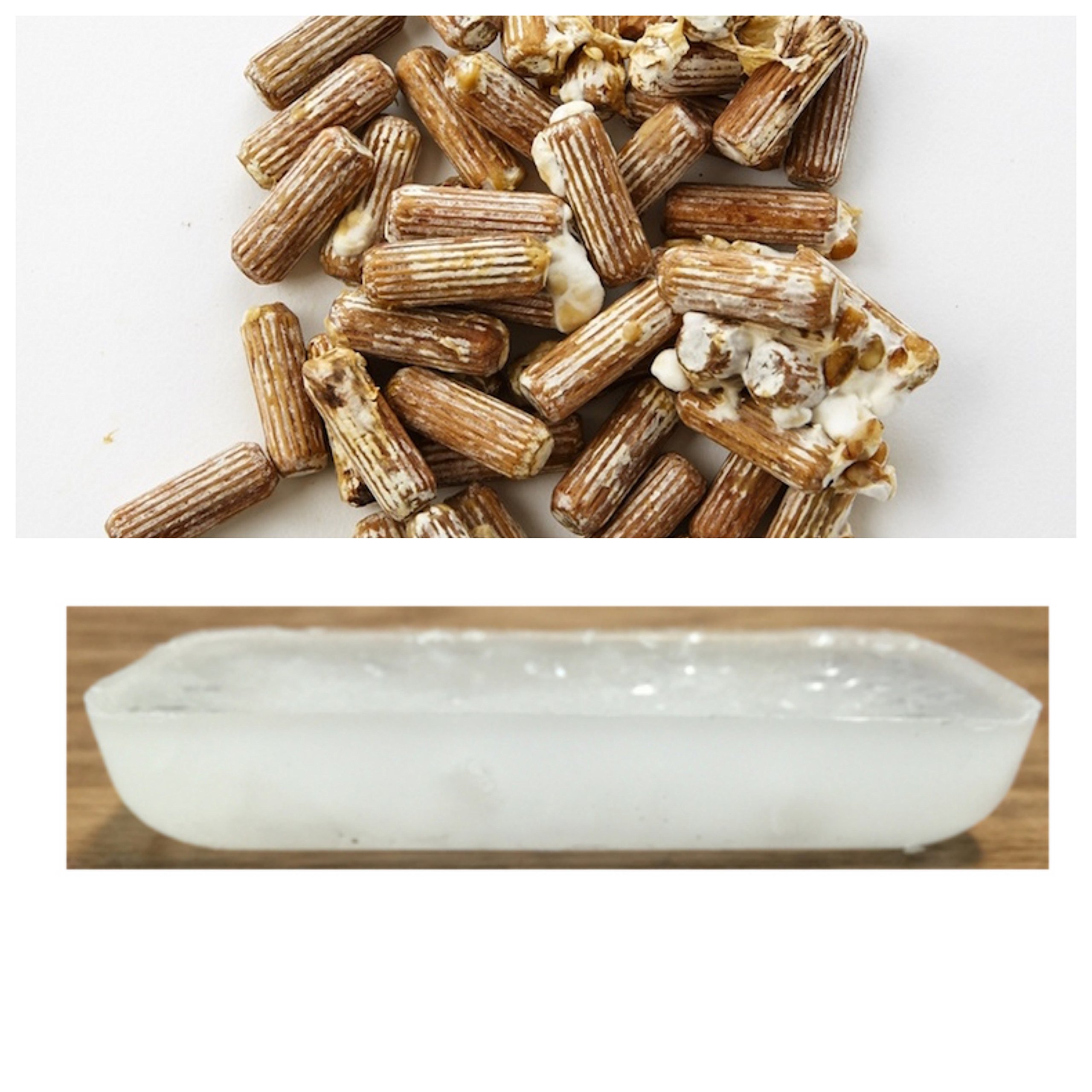 Spawn and Wax Combo - Shiitake Mushrooms Mushroom