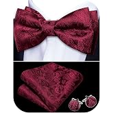 Barry.Wang Paisley Striped Bow Tie for Men Silk Pre-Tied Bowtie Set | Woven Mens Bowties,Pocket Square Cufflinks Set,Formal,Casual,Wedding,Party,Prom,Graduation,Festival,Classic,Elegant