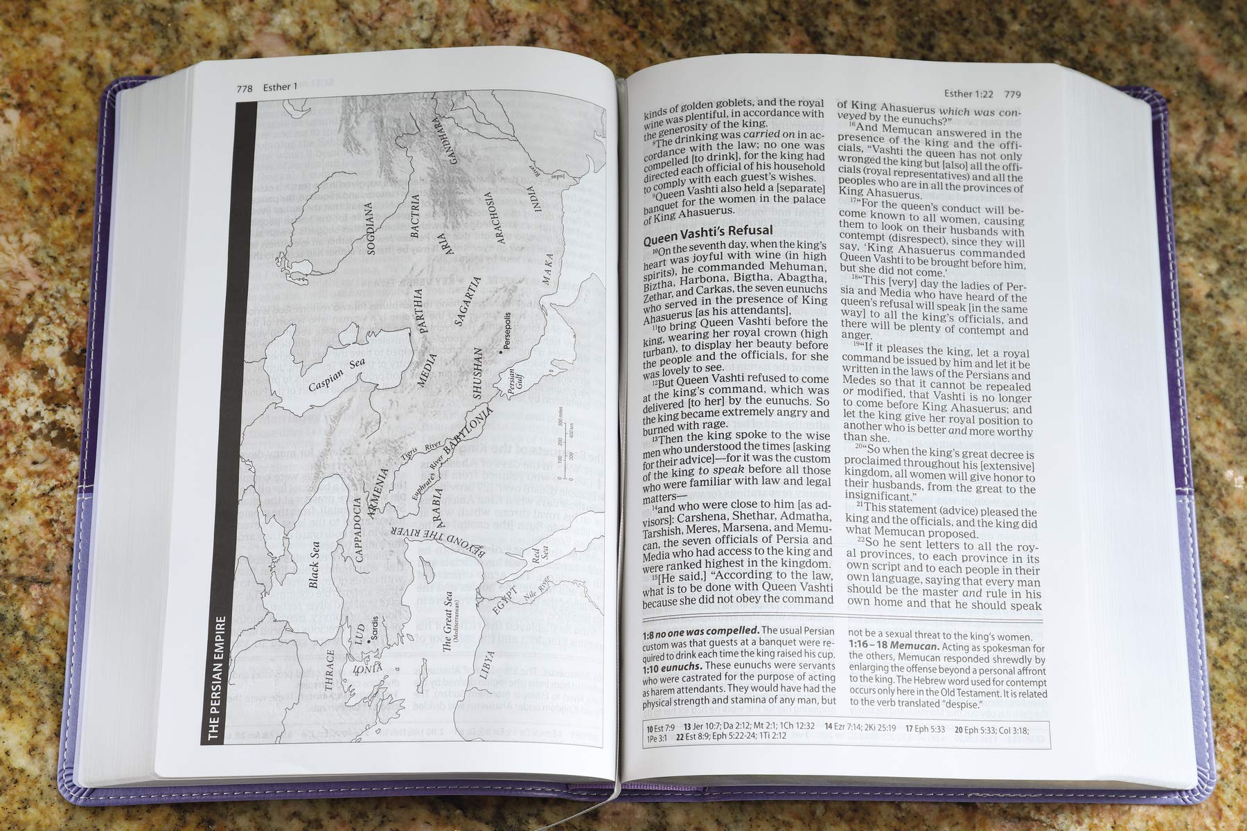 The Amplified Study Bible, Leathersoft, Purple The Amplified Study Bible, Leathersoft, Purple Imitation Leather