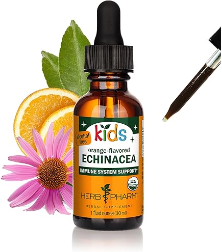 Amazon.com: Herb Emporium Kid's Echinacea Plus Extract 1 oz. (30