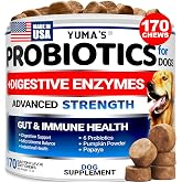 Probiotics for Dogs and Digestive Enzymes - 170 Dog Probiotics Chews | Dog Probiotic - Diarrhea Relief, Upset Stomach &amp; Gas, Constipation - Prebiotic Fiber Supplement, Gut Health, Bacon Flavor