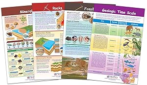 NewPath Learning 94-8005"Rocks, Minerals and Fossils" Bulletin Board Chart Set (Pack of 4)