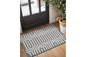 DEXI Front Door Mats for Entryway, Non Slip Washable Entry Doormat, Absorbent Resist Dirt Inside Floor Mat, Low-Profile Entrance Mat, 24"X36", Grey