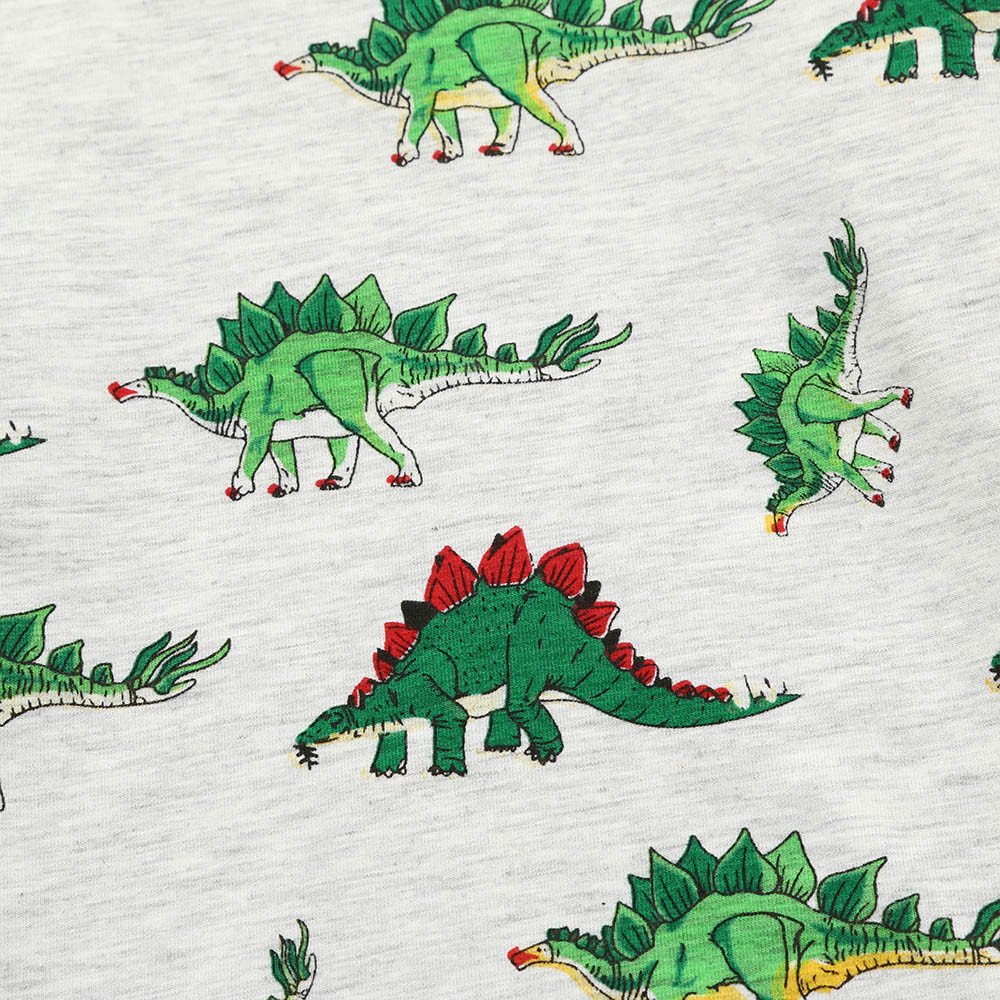 Pantalons Longs Costume Baohooya Pyjamas Garcon Bebe Fille 2 Ans 7 Ans Hiver Enfant Ensembles Vetement Manches Longues Dessin Anime Dinosaure Impression Tops Vetements Ensembles Dwteam In