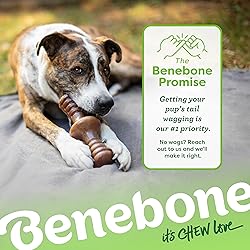 Benebone Zaggler Rolling Dog Chew Toy for