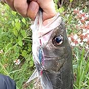 カスタマー画像