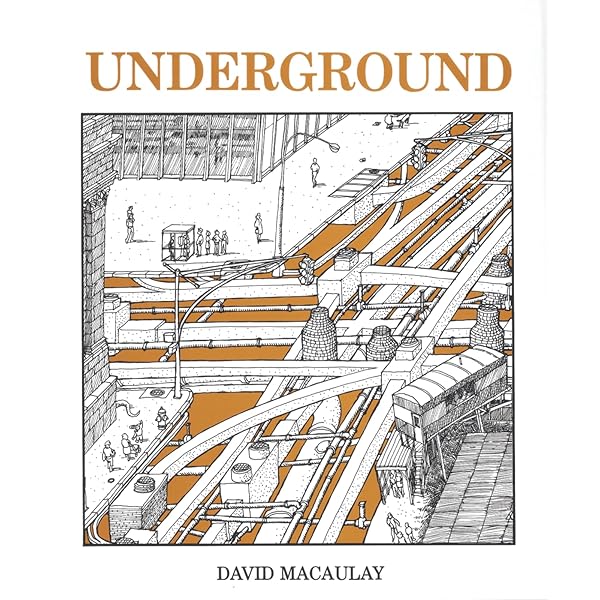 Amazon.com: Unbuilding: 9780395454251: Macaulay, David: Books