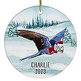 Santa Hat and Scarf Welcome Winter Flying Hyacinth
