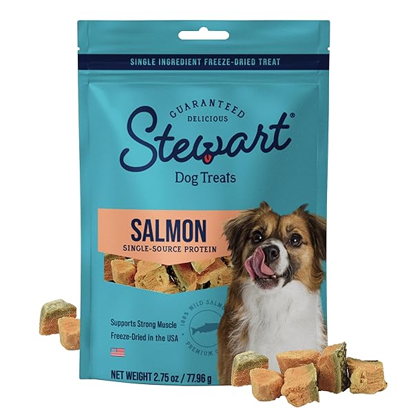STEWART WILD SALMON DOG TREATS, 2.75 OZ, ~55 PIECES, FREEZE DRIED RAW, SINGLE INGREDIENT, 65% PROTEIN TRAINING TREATS OR MEAL TOPPER IN A RESEALABLE POUCH, GRAIN FREE, GLUTEN FREE