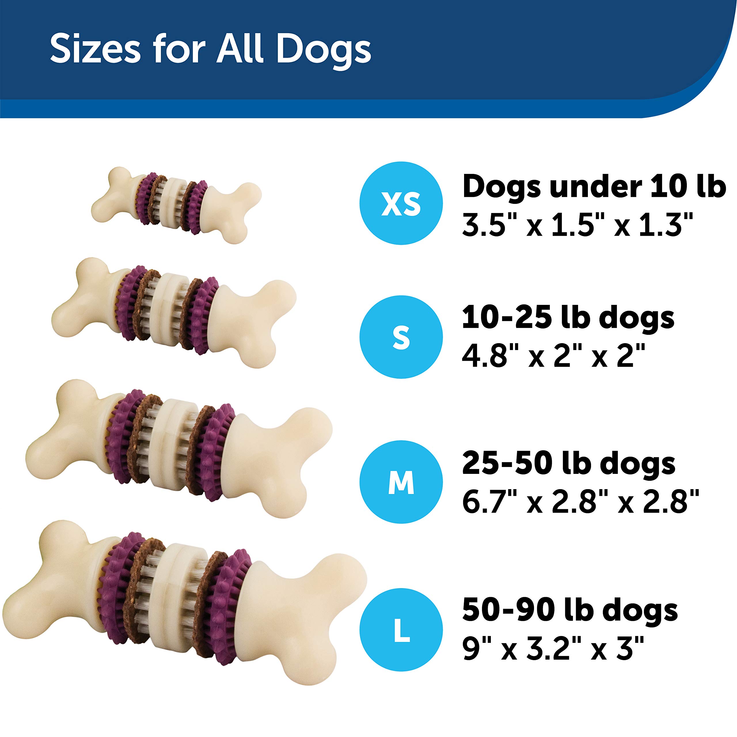 PetSafe® Busy Buddy® Bristle Bone®, Medium, Helps Keep Your Dog's Teeth Clean, Long-Lasting Playtime