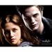 The Complete Twilight Companion Guide