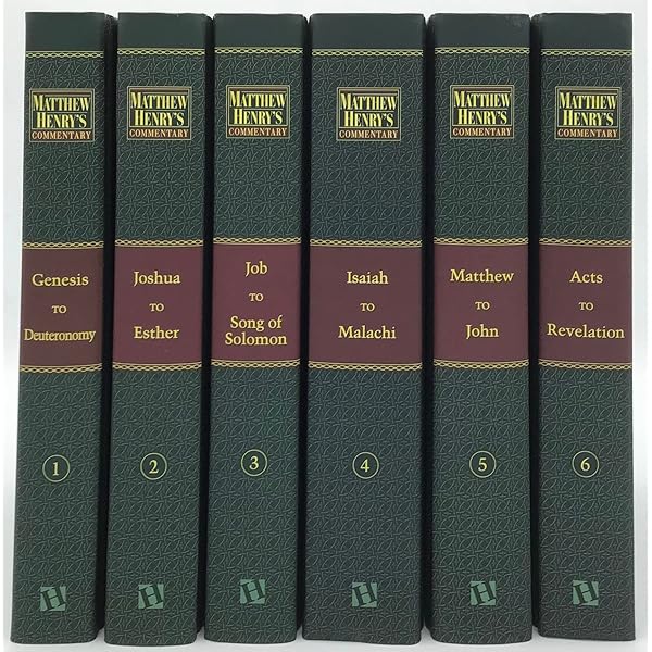 The New Interpreter's® Bible Commentary Ten Volume Set