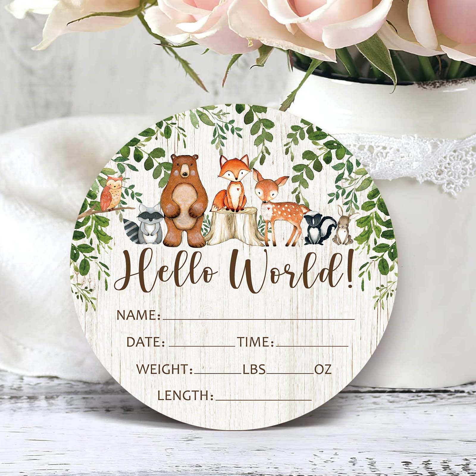 Birth Stat Sign for Newborn, Woodland Animals Baby Announcement, Forest Hello World Name Sign for Hospital Birth Announcement, Gift for New Mom, Baby Shower, Pregnancy Announcement, Photography Prop