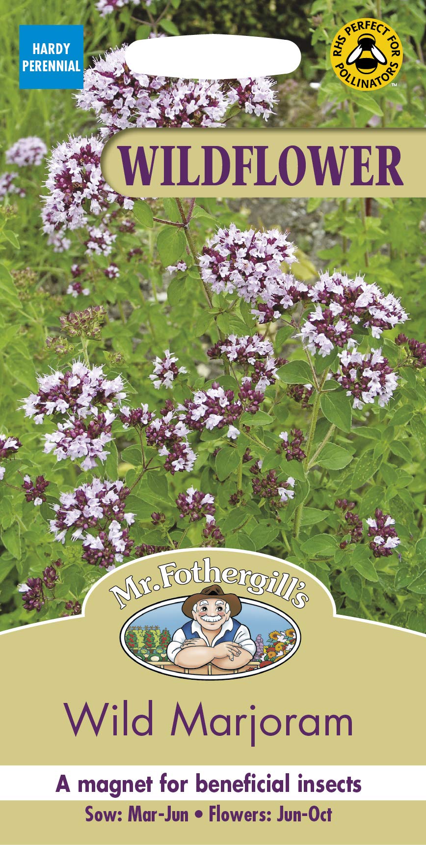 Mr Fothergill's Wildflower Wild Marjoram, Purple, 0.3 x 7.5 x 14.5 cm