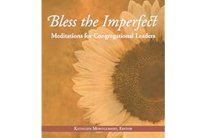 Bless the Imperfect: Meditations for Congregational Leaders