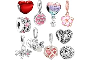 WANIUS 10 Pack Silver Charms for Pandora Bracelets and Necklaces Charms for Women CZ Pendant Jewelry Charm Set