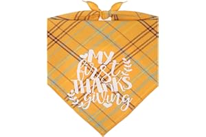 Pawskido First Thanksgiving Dog Bandana