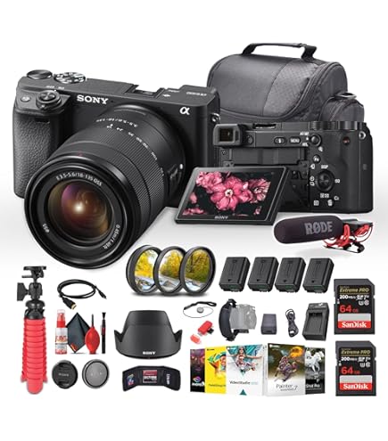 Amazon.com : Sony a6400 Mirrorless Camera with 18-135mm Lens with