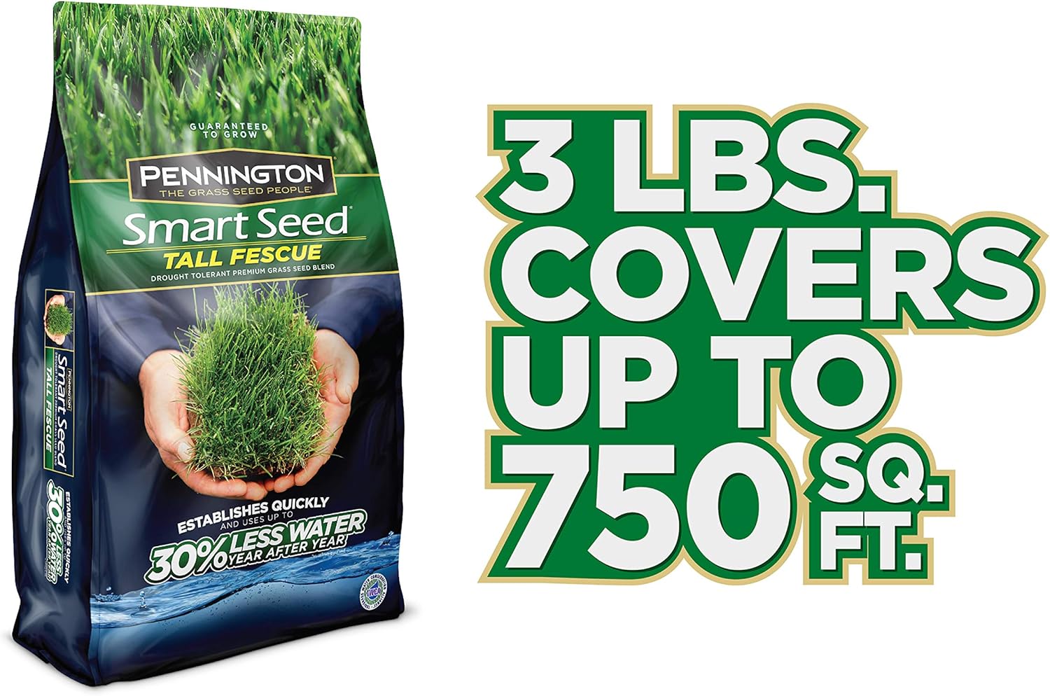 Pennington Smart Seed Tall Fescue Grass Seed, 3 lb : Garden & Outdoor