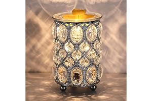 LEYOUE Wax Warmer Wrought Iron Crystal Wax Melt Warmer Electric Oil Burner Wax Melt for Gifts & Decor, Home, Office, SPA,Bedroom