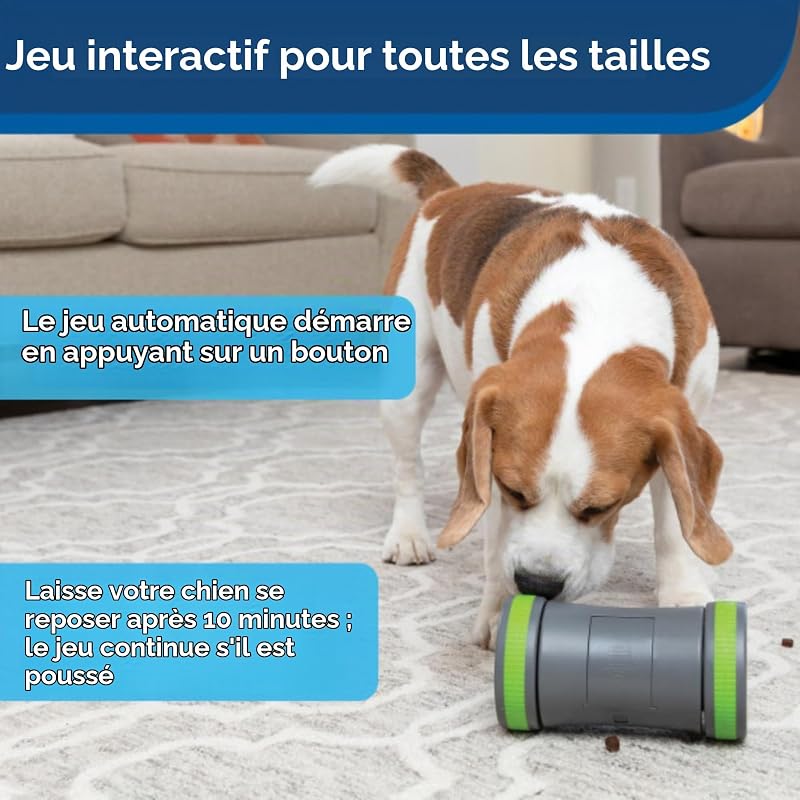 Kibble Chase Jouet Distributeur de friandises pour Chiens, Jouet interactif Robuste, Fonctionne avec 3 Piles AA