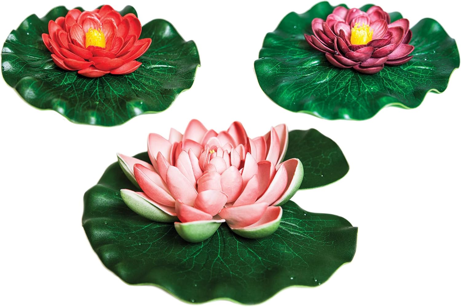 Amazon Com Aquanique Floating Lily Pad Variety Pack Garden Outdoor Amazon Com Aquanique Floating Lily Pad Variety Pack Garden Outdoor