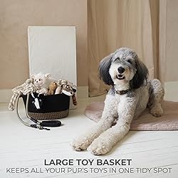 Stylish Cotton Rope Storage Basket For Dog