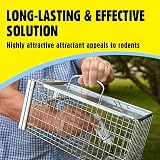 The Big Cheese Mouse and Rat Attractant 26g Poison-Free Squeezy Tube view 3