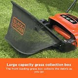 BLACK+DECKER Lawn Raker 600W GD300-GB Adjustable Height 30cm Raking Width view 4