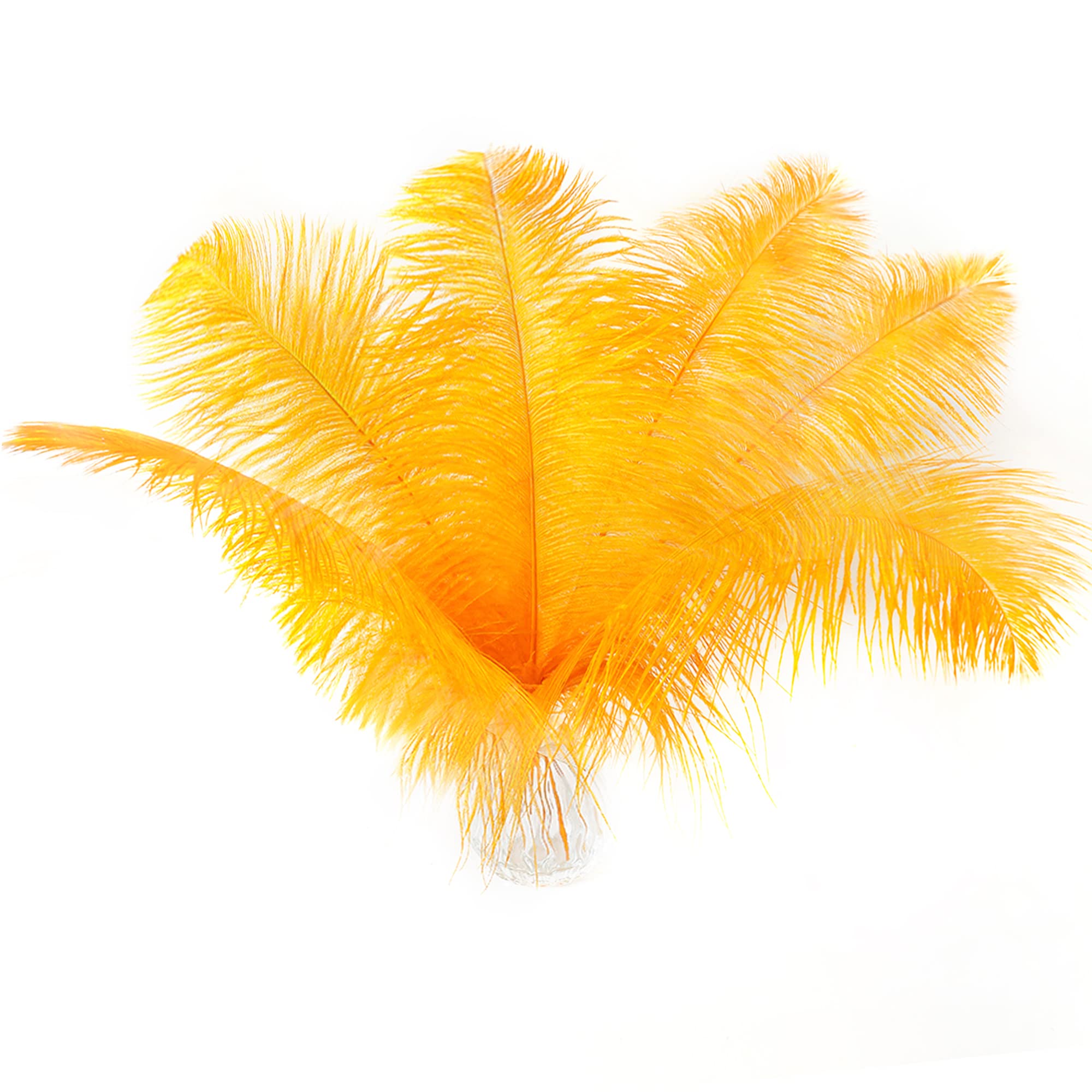 Soarer Gold Ostrich Feathers for Crafts - 15 pcs