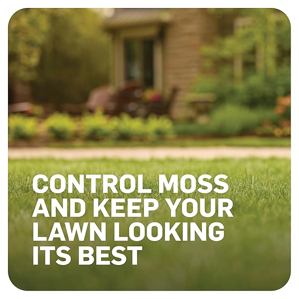SCOTTS MOSSEX, MOSS KILLER FOR LAWNS, EASY-TO-USE SHAKER JUG, CONTAINS FERTILIZER TO GREEN GRASS, 4.59 LBS.